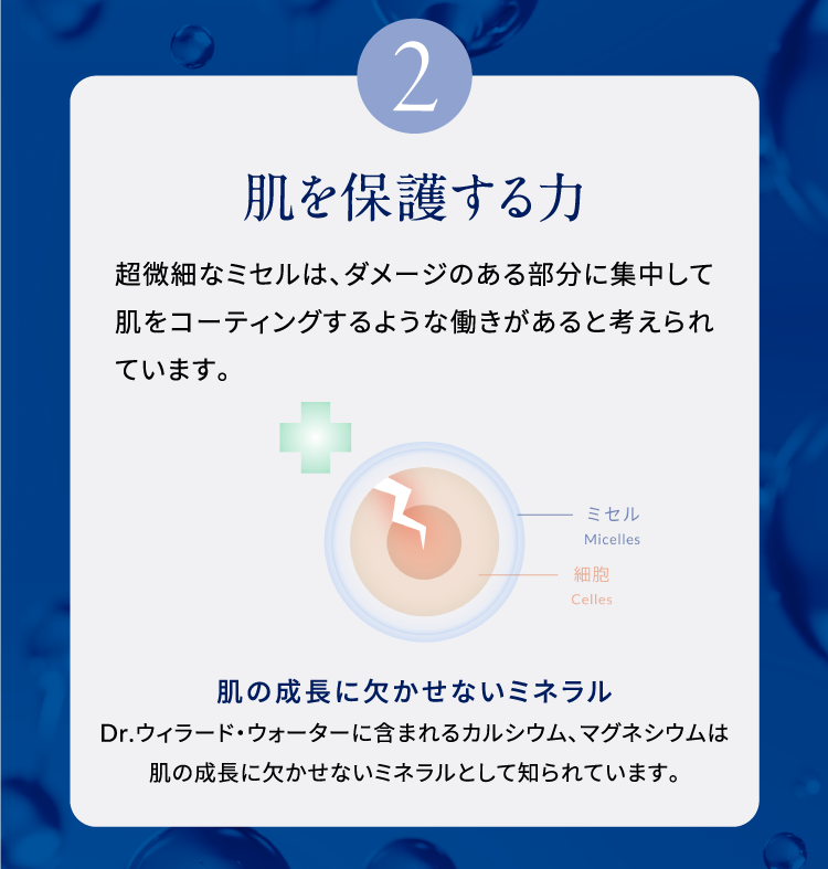 2 肌を保護する力