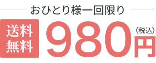 おひとり様一回限り/送料無料/980円(税込)