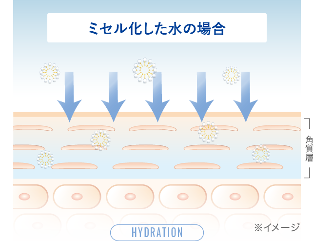 ミセル化した水の場合の水分補給