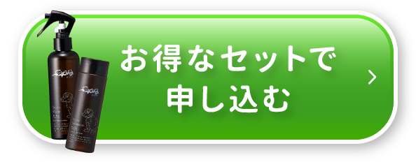 お得なセットで申し込む