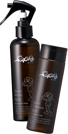 セピア ウォーター+シャンプー