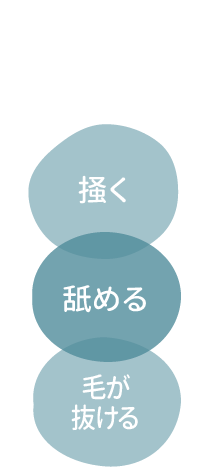 デリケートな肌からの悲鳴に。掻く・舐める・毛が抜ける