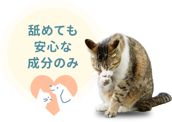 舐めても安心な成分のみ