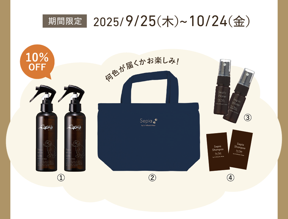 今月のキャンペーン｜Dr.ウィラード・ウォーター公式オンライン