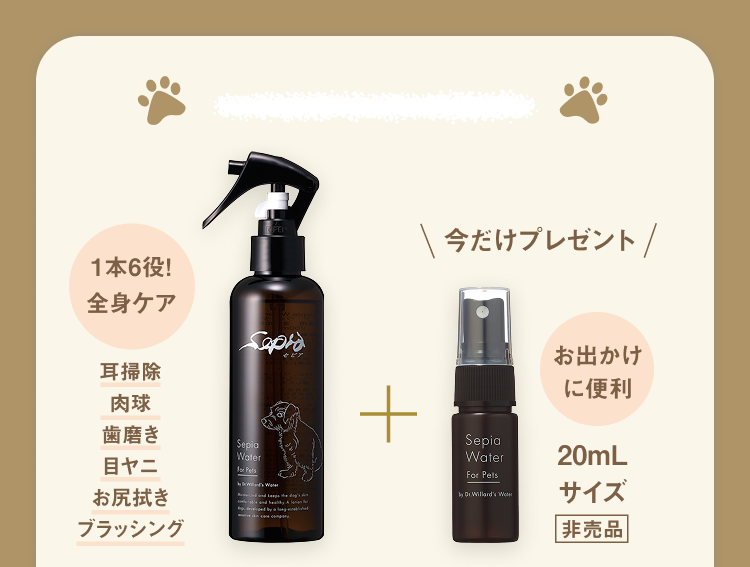 今月のキャンペーン｜Dr.ウィラード・ウォーター公式オンラインストア