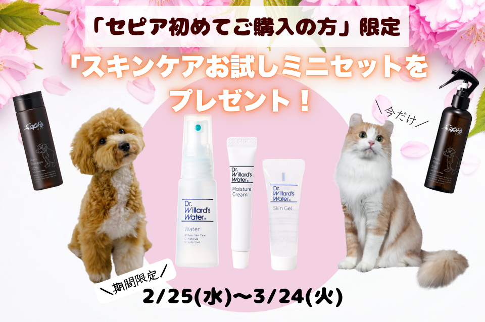 【期間限定】セピア初めての方にスキンケアお試しミニセットプレゼント!