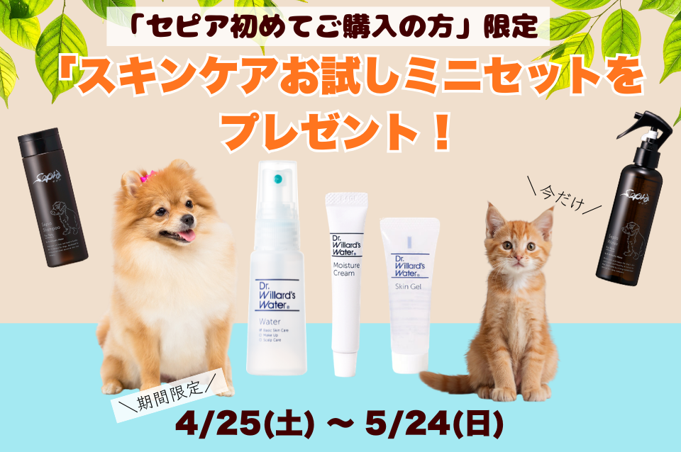 【期間限定】セピア商品ご購入の方にスキンケアお試しミニセットをプレゼント!