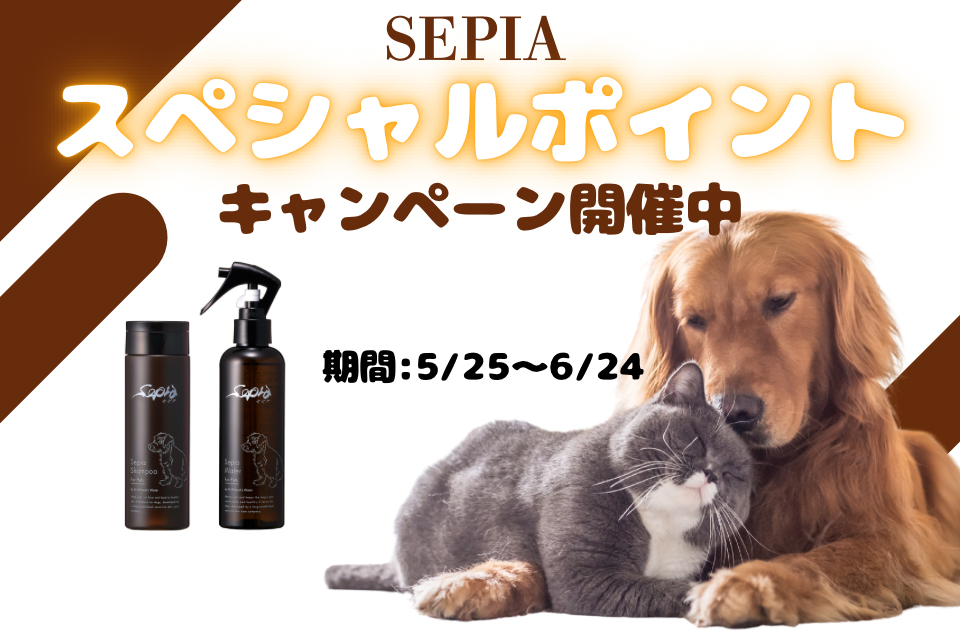 セピア（ペットケア）スペシャルポイントキャンペーン開催中！
