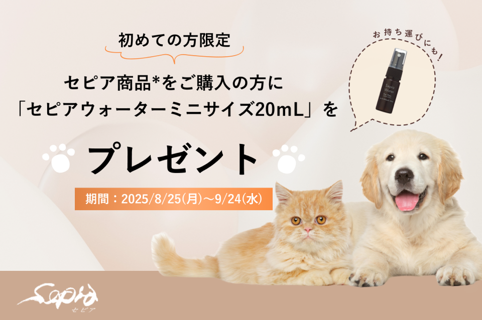 【初めての方限定】セピア商品をご購入の方にセピアウォーター20mLをプレゼント！