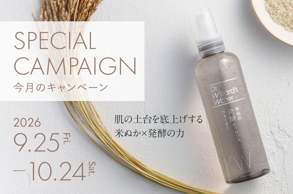 今月号のキャンペーン