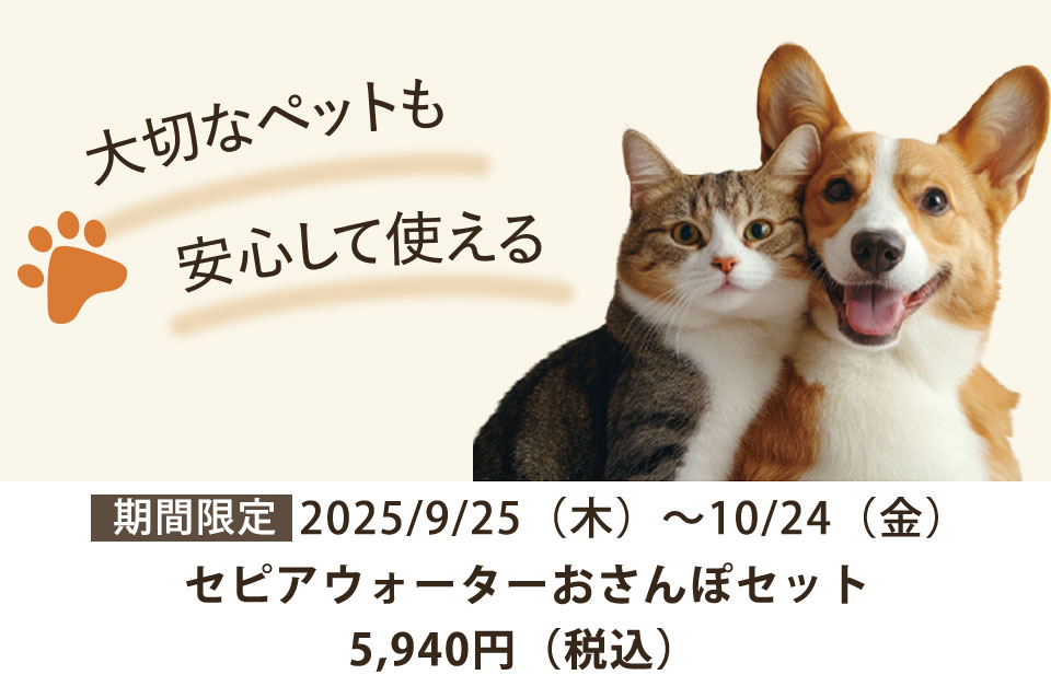 【期間限定】セピアおさんぽセット販売！
