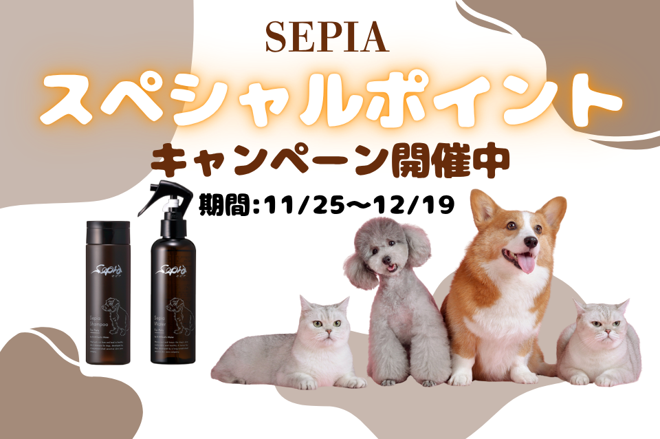 【期間限定】セピアスペシャルポイント