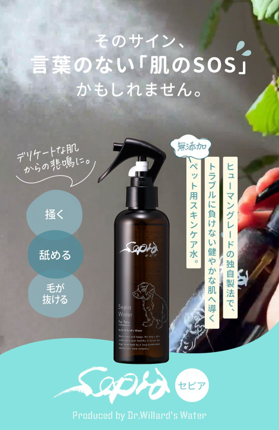 セピアウォーター