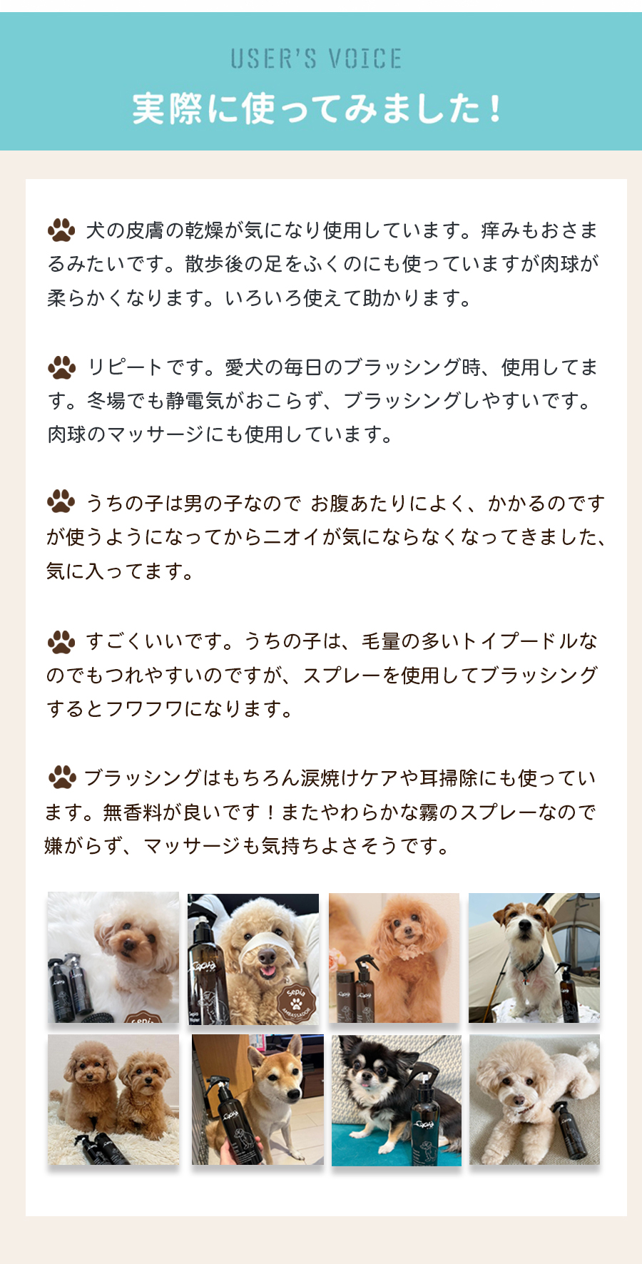 セピアウォーター