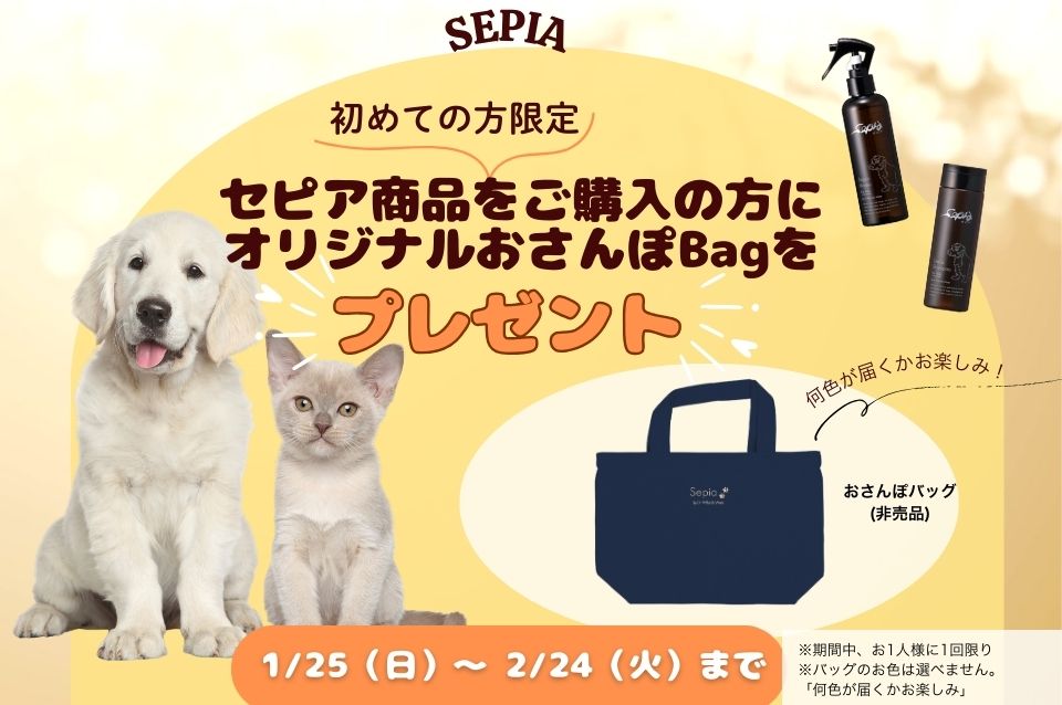 セピアおさんぽバッグプレゼントキャンペーン