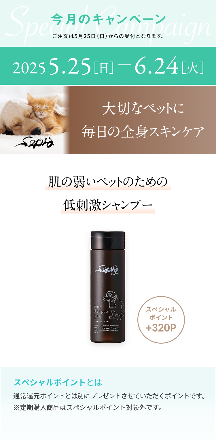 セピアシャンプーー