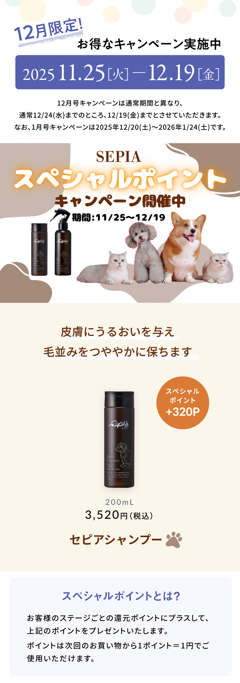 セピアシャンプーキャンペーン