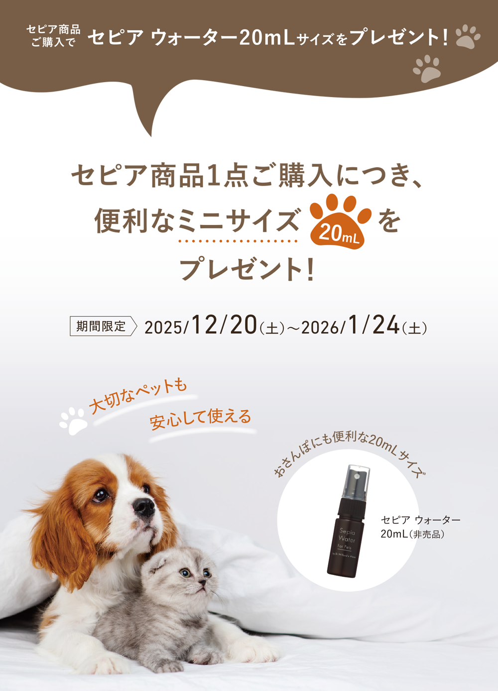 セピア20ｍLウォータープレゼント