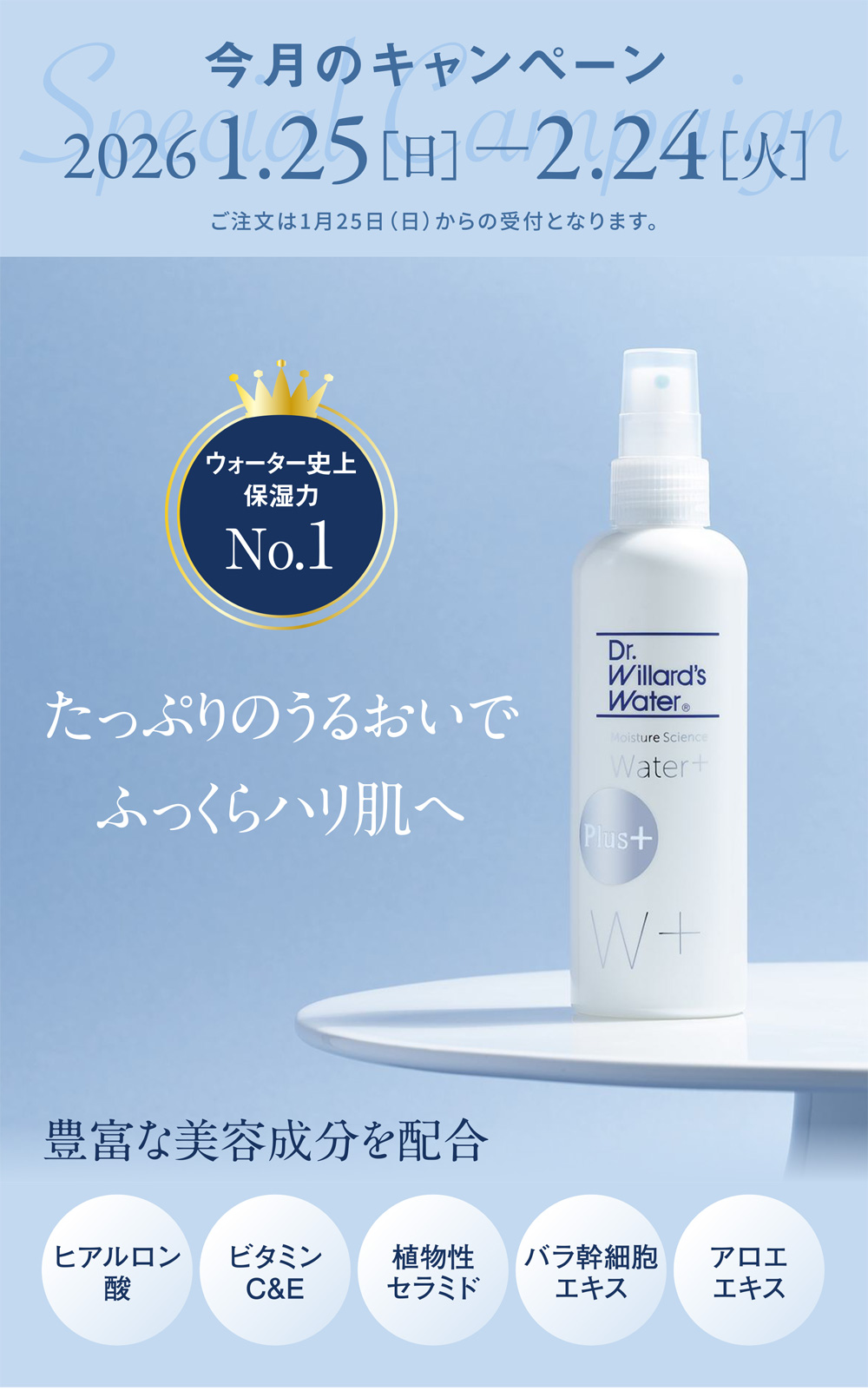 ウォータープラス