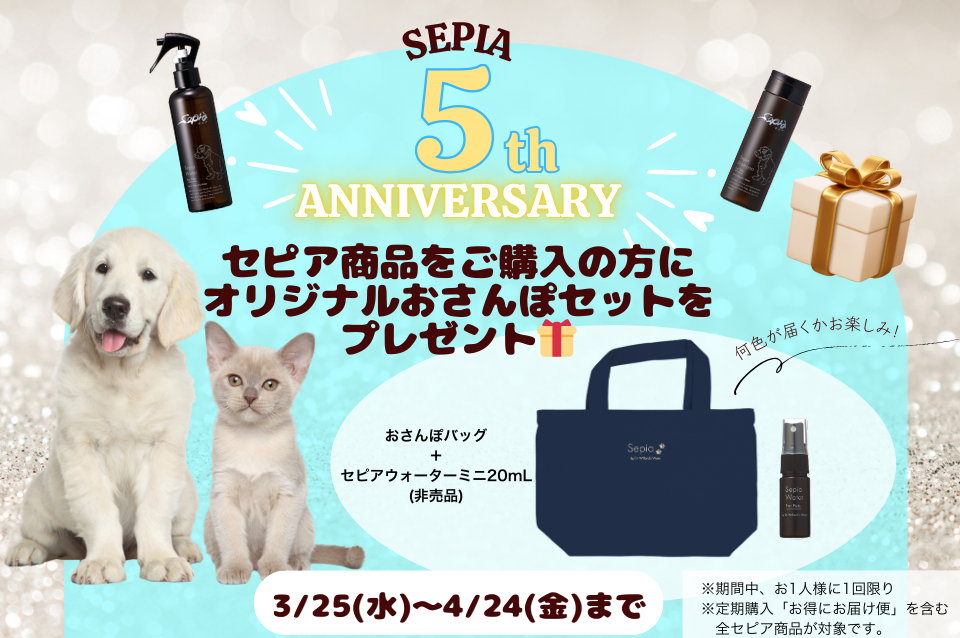 セピアおさんぽセットプレゼント