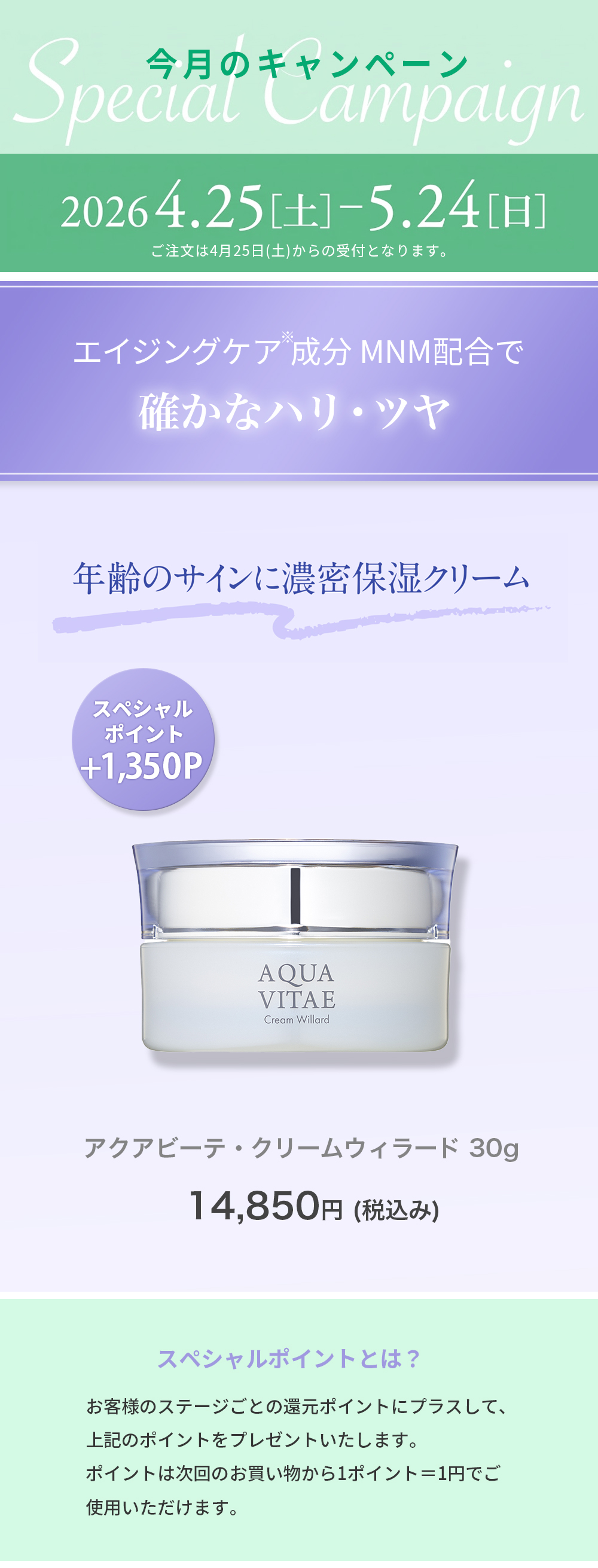 アクアビーテ・クリームウィラード