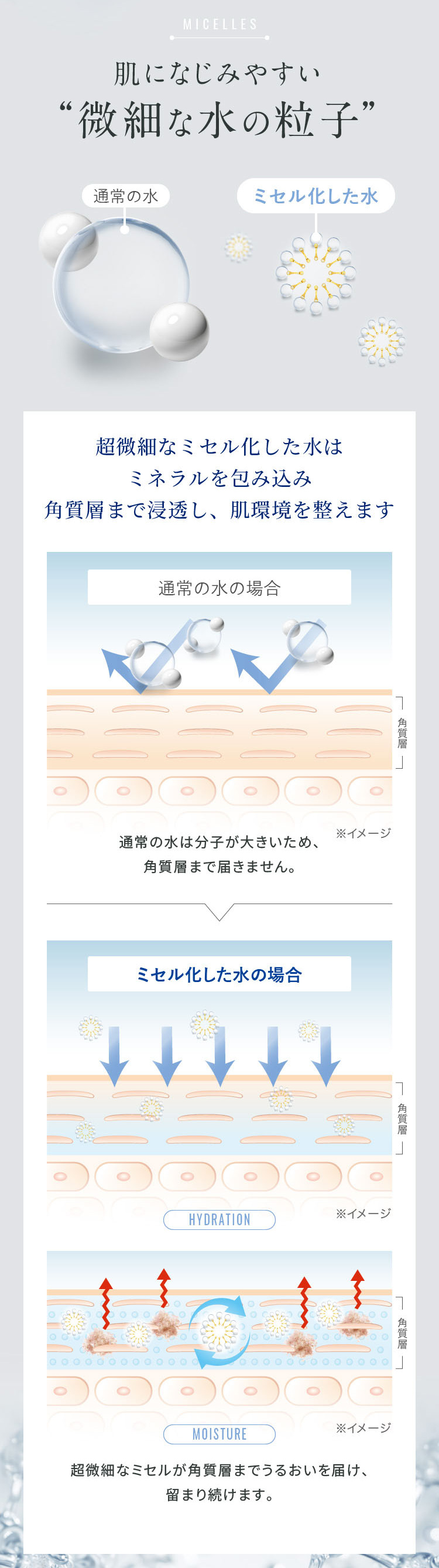7日間ベーシック・トライアルセット