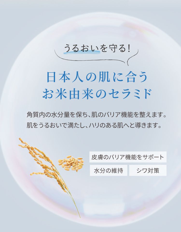 日本人の肌に合うお米由来のセラミド