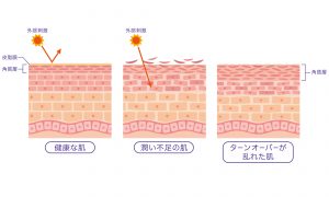 促進 ターン オーバー 肌の生まれ変わりを促す成分「AMP」とは？｜大津スキンケア研究所〜大塚製薬