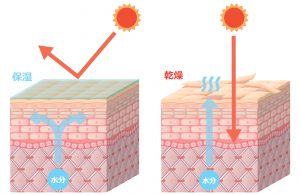 つっぱる 粉を吹く ひび割れるは危険 乾燥肌の原因と対策は 敏感肌コンシェルジュ Dr ウィラード ウォーター